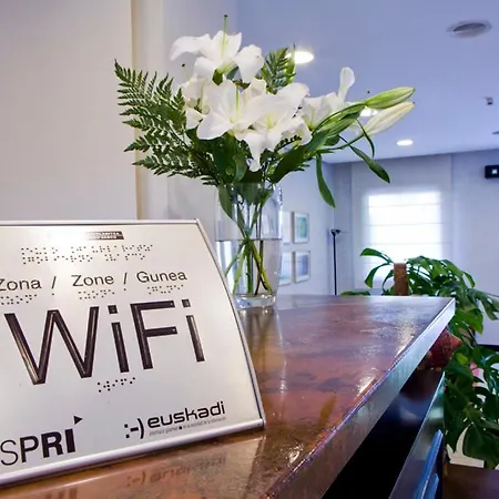 Hotel Ibiltze Lasarte Oria